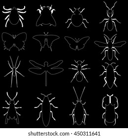 White stripe pattern line insects vector collection. Insects biology natural isolated icons. Fly insects micro view vector. 