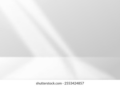 White Studio Background With Sunlight. Minimalist. Vector Illustration. Abstract Business Wallpaper. Wall Backdrop