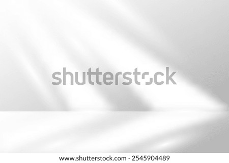 White Studio Background With Sunlight. Minimalist. Vector Illustration. Abstract Business Wallpaper. Wall Backdrop