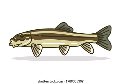 White Sucker Fish Design Illustration Vector Art