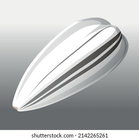 White sunflower seed. Vector drawing.