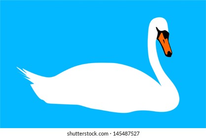 White swan