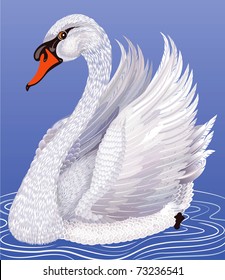 Weißschwan