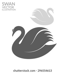 White swan and black swan. Isolated birds on white background. Vector illustration EPS10