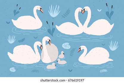 White swan collection on blue background. Singles and swan's pairs with chicks. Hand drawn colorful vector illustration set.