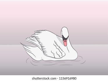 white swan floating on water, illustration, vector