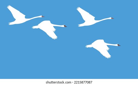White swan flying in the sky. swan flat design vector illustration
