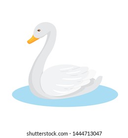 White swan, goose flat vector illustration. Graceful waterbird, domestic bird swimming in pond. Beautiful waterfowl with long neck, poultry farm animal. Fowl breeding business. Love symbol