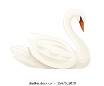White swan largest flying bird swim on water cartoon animal design flat vector illustration isolated on white background