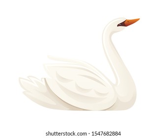 White swan largest flying bird swim on water cartoon animal design flat vector illustration isolated on white background
