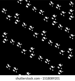 White swan on black background pattern