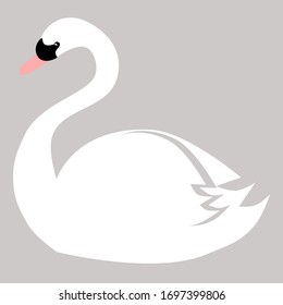 White swan on the grey background. Vector painting art