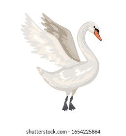 White swan with open wings. Elegance and grace waterfowl. Cute hand drawn wild bird. Isolated animal on white background. Flat vector cartoon illustration