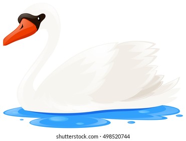 Weißschwan in der Billardgrafik
