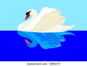White swan and its reflection on the water surface