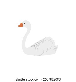 White swan swimming in lake isolated on white background.  Pond goose bird vector illustration in cartoon flat style.  Cute duck clipart icon design element