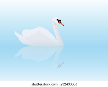 White swan, vector