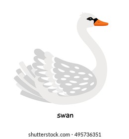 White swan vector illustration