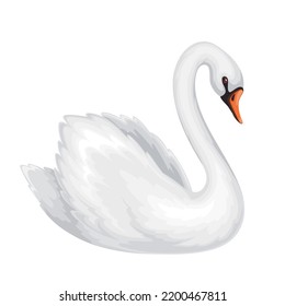 White swan vector illustration. Cartoon isolated beautiful waterfowl bird with fluffy feathers on graceful wings and beak, swan swimming in water, abstract symbol of peace, elegance and purity