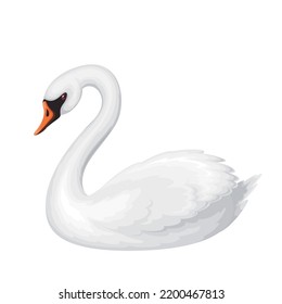 White swan vector illustration. Cartoon isolated cute bird with soft feathers and wings, grace neck and beak swimming in nature, beautiful swan character as symbol of natural beauty and elegance