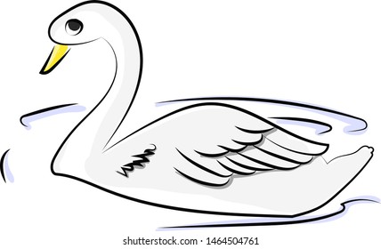 White swan in water, illustration, vector on white background.