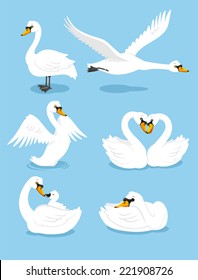 White Swan Wing Water Animal Bird Elegance Grace Set, vector illustration cartoon.