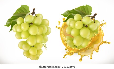 White sweet grapes and juice splash. Fresh fruit, 3d vector icon