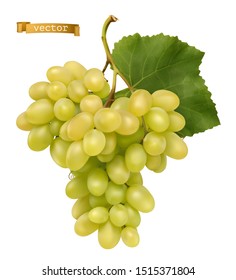 Uvas dulces blancas de mesa. Fruta fresca, vector 3d realista