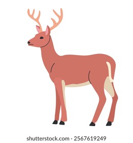 White tailed deer icon clipart avatar logotype isolated illustration