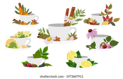 White tea cups with different fillings. Tea with sea buckthorn, chamomile, cinnamon, rosehip, ginger, orange, linden, echinacea, lemon, berries and herbs. Vector illustration