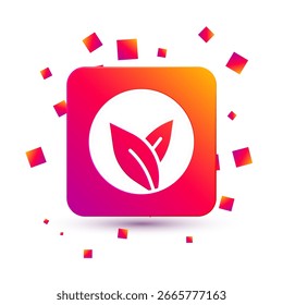 Icono de hoja de té blanco aislado sobre fondo blanco. Hojas de té. Botón de color cuadrado. Vector