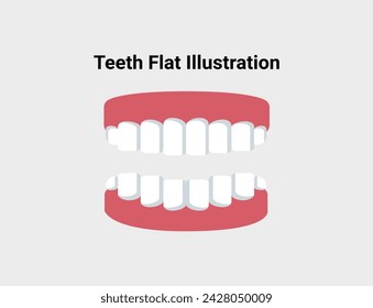 White teeth flat illustration. Dentistry and orthodontics vector illustration. Dental clinic services, stomatology, dentistry, orthodontics, oral health care and hygiene vector.