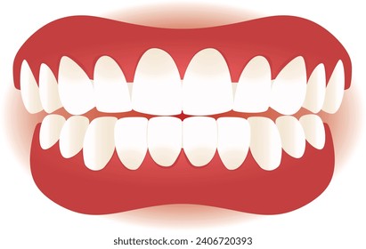 White teeth isolated. vector illustration