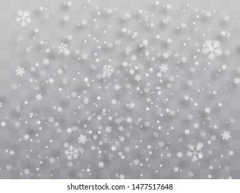 White tender snowflakes, snow falling over transparent background, vector illustration. Snowfall flying flakes, Christmas winter background.