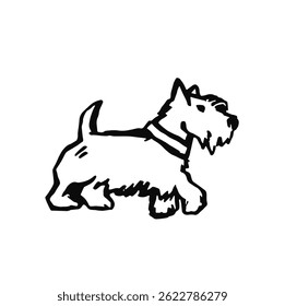 white terrier dog outline illustration hand made