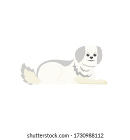 White terrier flat color vector character