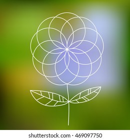 White thin line flower on green background. Vector illustration.