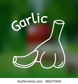 White thin line icon of garlic with name on mesh background
