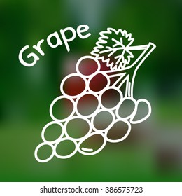 White thin line icon of grape with name on mesh background