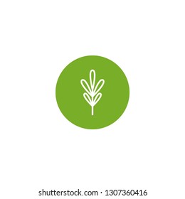 White thyme twig, shoot, sprig in green circle. Icon Isolated on white. Logo for eco company, agriculture, nature firm, ecology, healthy organic, farm fresh food. Vector Illustration. kitchen herb