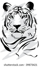 White tiger