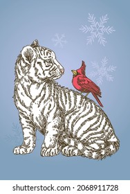 White tiger cub with cardinal bird. Color greeting card. Engraving style. Vector illustration.