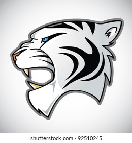 white tiger head