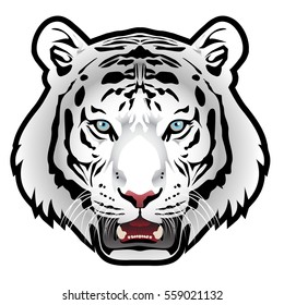 White tiger head on white background vector illustration.
