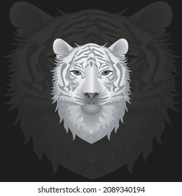 White Tiger Head on Dark Background