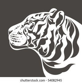 White Tiger Head Profile - Side View