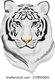 Ilustración del vector de la cabeza del tigre blanco