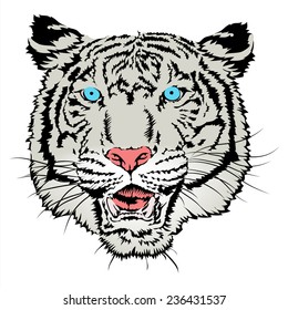White tiger head vector on white.