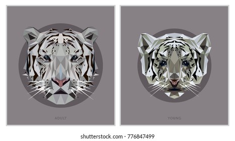 White Tiger Low Poly Animals Illustration
