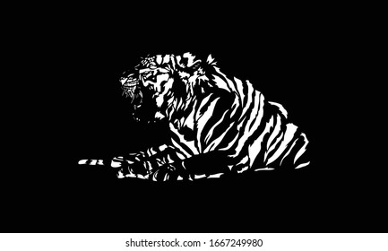 white tiger on black background